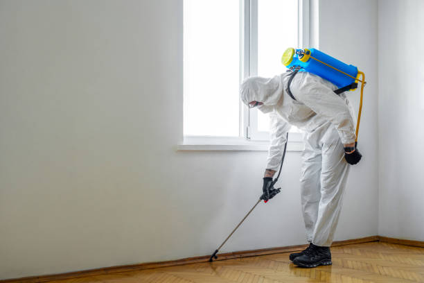 Trusted South Miami Heights, FL Pest Control Experts